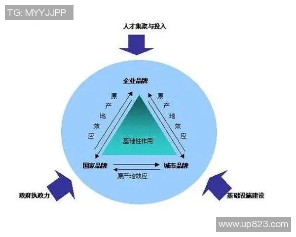品牌设计与创新:塑造独特品牌形象提升市场竞争力的策略与实践